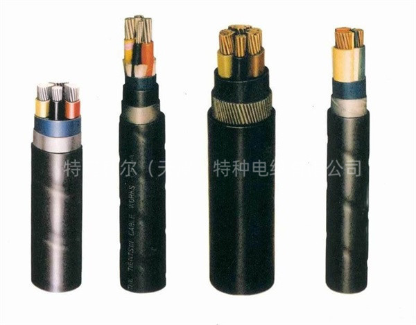 龙门吊电缆相关知识