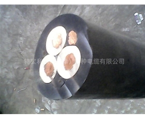 船用电缆
